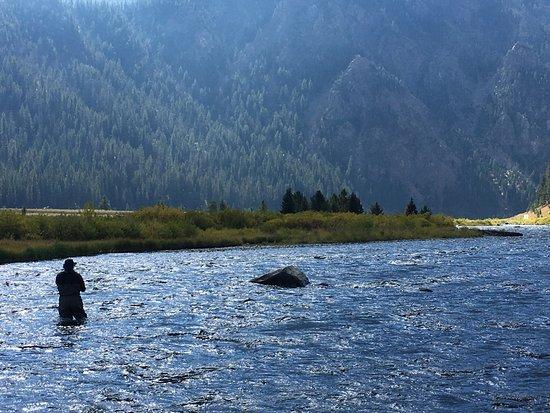 Arrick's Fly Shop and Fly Fishing Tours