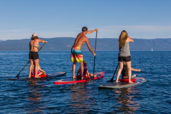 Paddle Board Outfitters