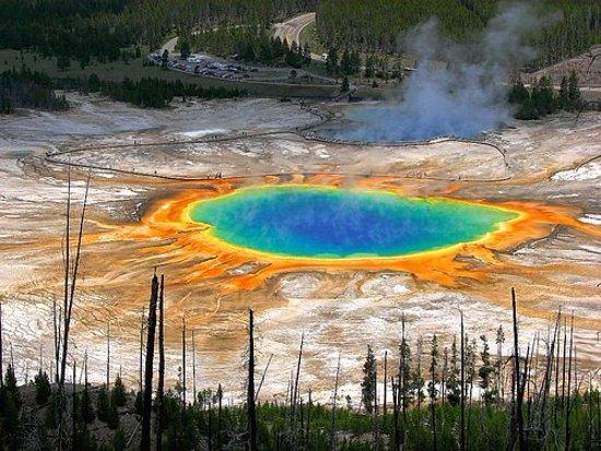 Yellowstone Scenic Tours