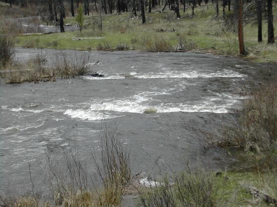 Bitterroot Valley