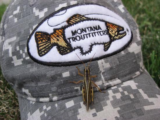 Montana Troutfitters - Day Tours