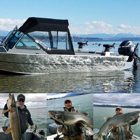Western Timberline Outfitters