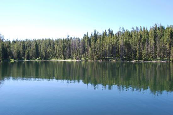 Hebgen Lake